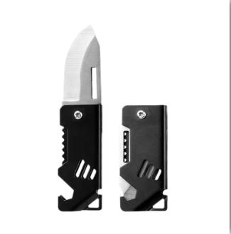 Mini 420 Stainless Steel Folding Knife Keychain Mini Key Knife EDC Creative Pocket Knife Portable Bottle Opener Sharp Cutting To