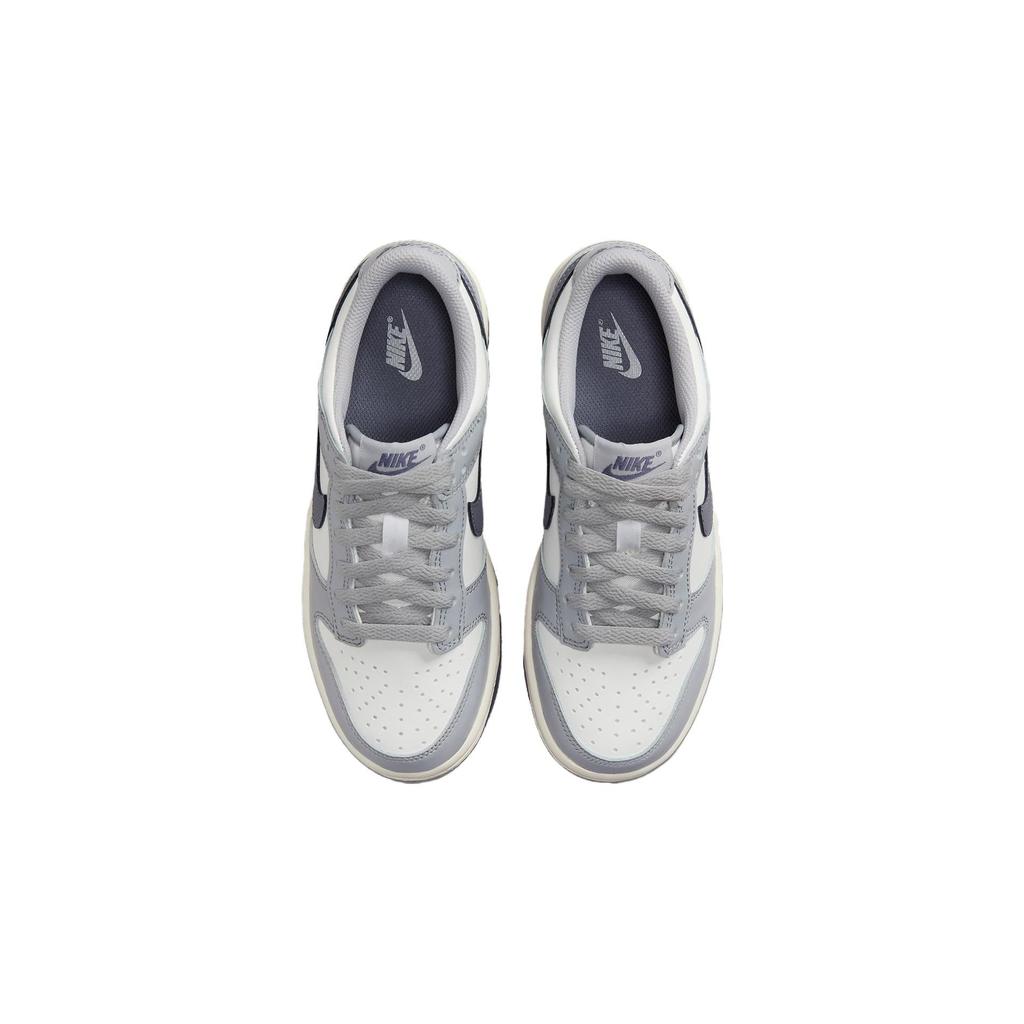 Nike Dunk Low GS Platinum Tint Light Carbon Kids Sneakers White Pure-Platinum FB9109-101
