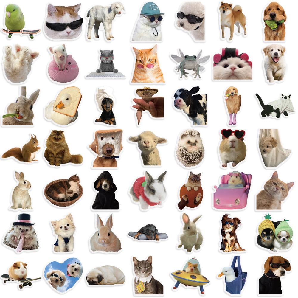 

50pcs Animal Stickers Waterproof PET Self-Adhesive Decals with Playful Dog, Cat, Hedgehog & Guinea Pig Designs for Phone, Laptop, Luggage, Helmet