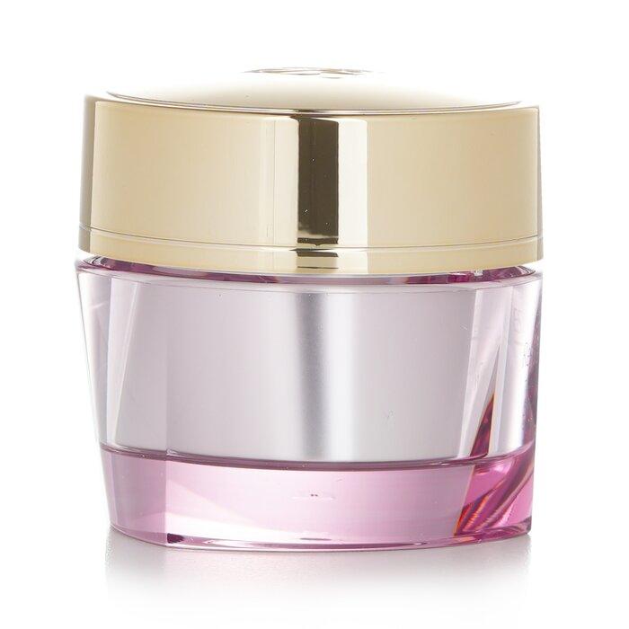 ESTEE LAUDER Resilience Multi-Effect Tri-Peptide Face and Neck Cream SF 15 for Dry Skin 50ML