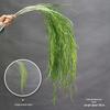 Asparagus Fern & Willow Buds Greenery for Wedding Decor & Landscaping