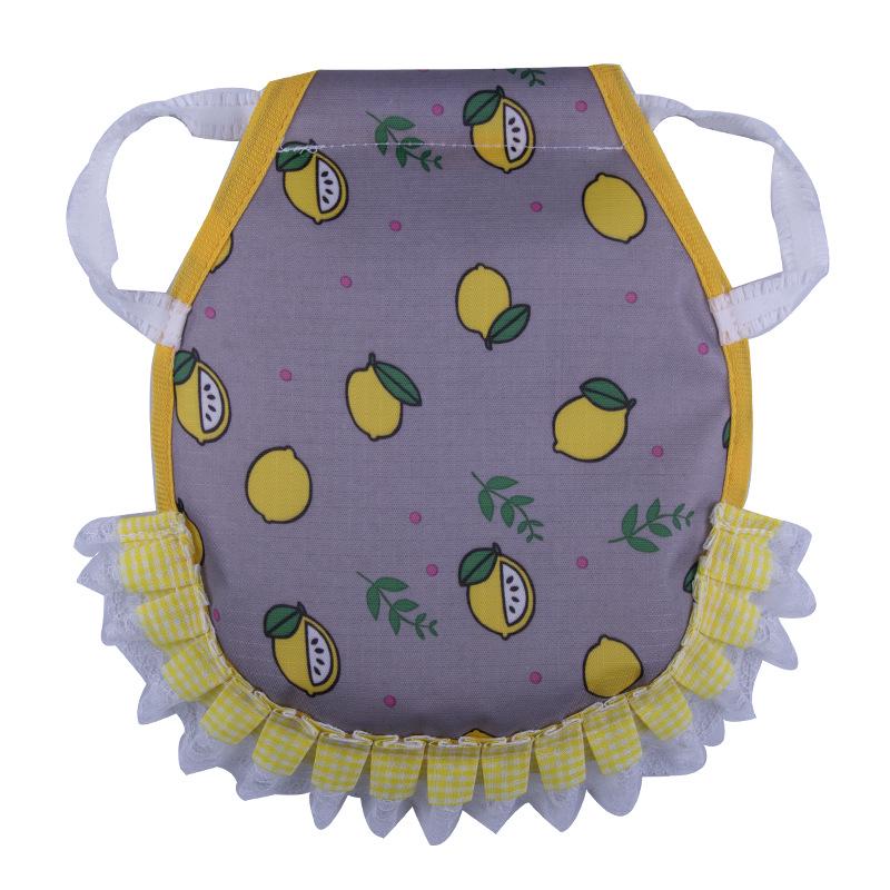 Dual-Layer Hen Saddle Apron: Feather Protector & Back Fixator