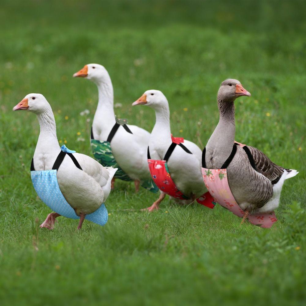 New Adjustable Poultry Diaper Reusable Bow Tie Duck Supplies Breathable Comfortable Duck Accessories Poultry Care
