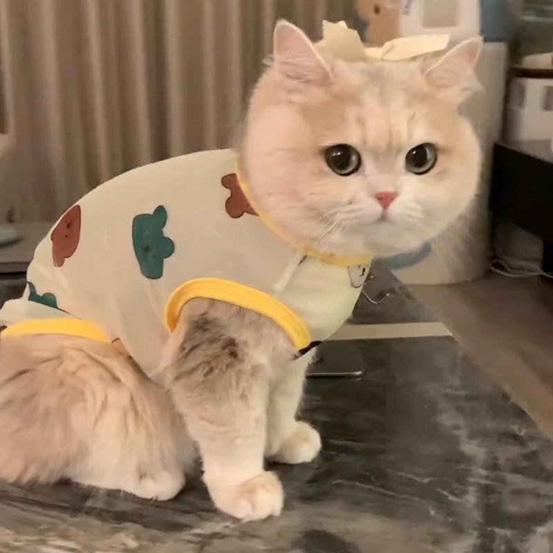 Cute Summer Anti-Shedding Clothes for Pet Cats, Breathable Small Vests for Golden Chinchillas, Ragdolls and British Shorthairs in Summer L [suggestion 4-5kg]