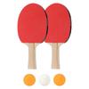 Professional PingPong Rackets with 3 Balls Table Tennis Rackets Portable Table Tennis Paddle for Indoor Outdoor Play