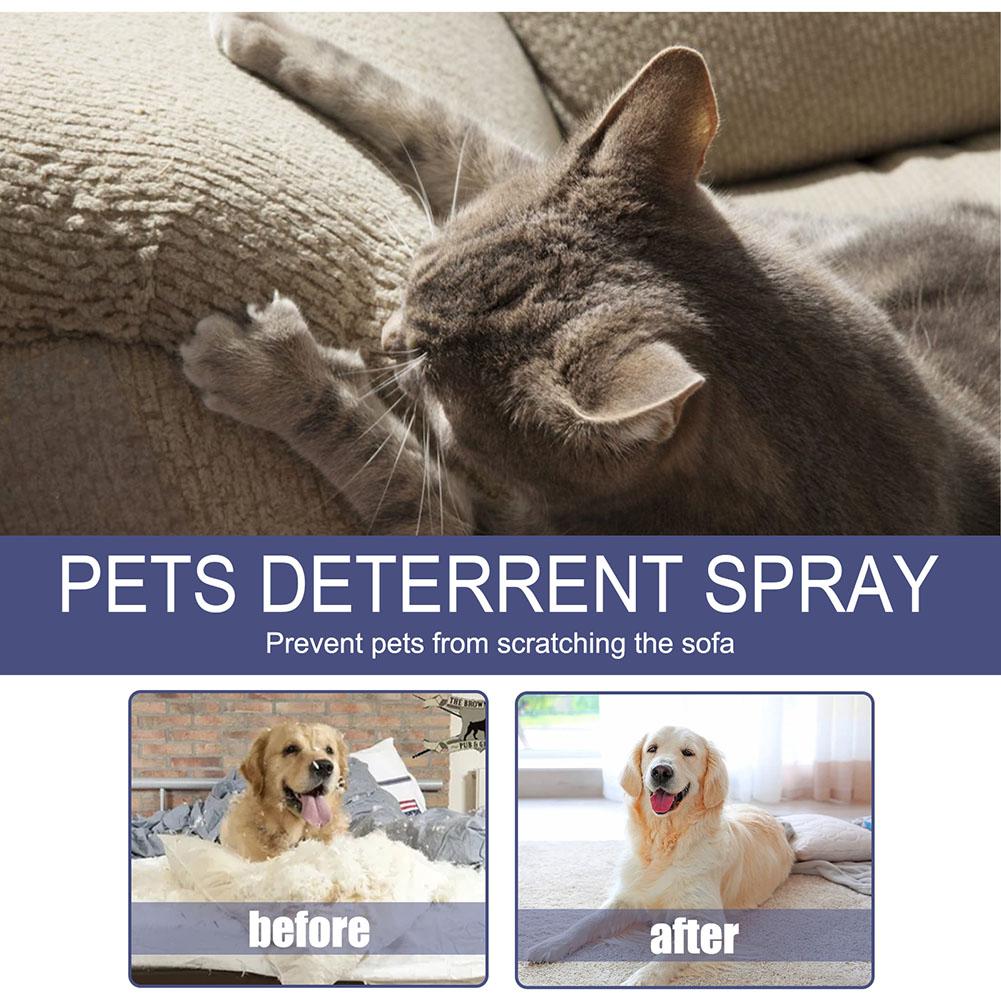 

Cat Deterrent Spray Non-Toxic Cat Repellent for Indoor Outdoor Use Safe Training Cat Scratch Spray for Carpets and Furniture China Mainland