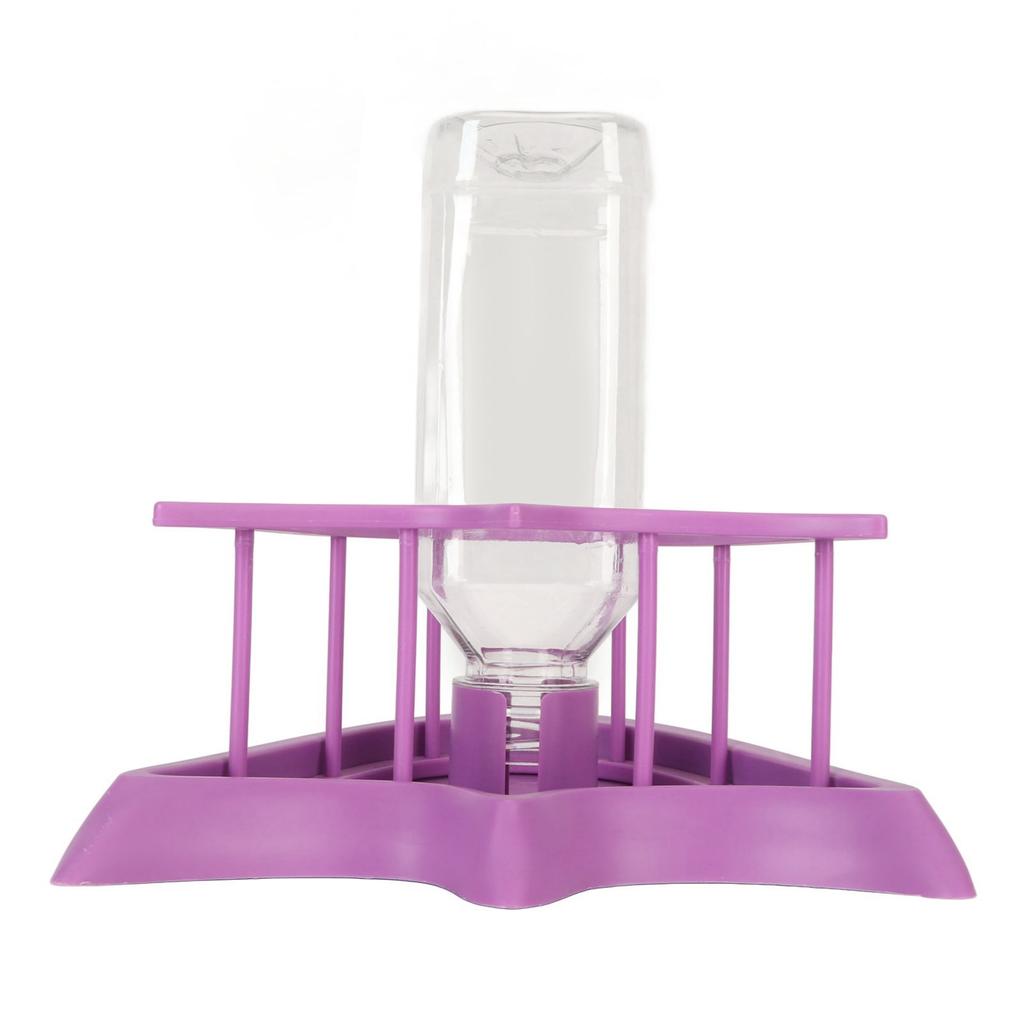 Automatic Reptile Water Feeder Safe Purple Fence Reptile Water Drinker Dispenser with Bottle for   Reptile Supplies
