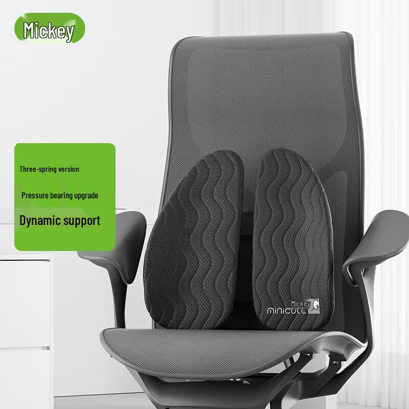 Miqiao Ergonomic Lumbar Support Cushion