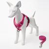 Adjustable Anti-Breakaway Pet Harness and Leash Set for Dogs and Cats
