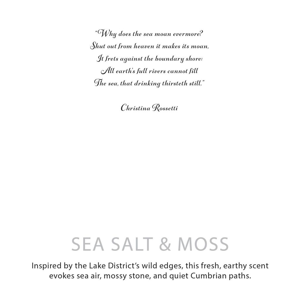 Agnes + Cat Botanical Soy Wax Candle – Seasalt & Moss