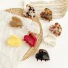 1pc French Acetic Acid Hair Clip with Heart-shaped Small Grip Clip, Forehead Side Hair Clip Headband