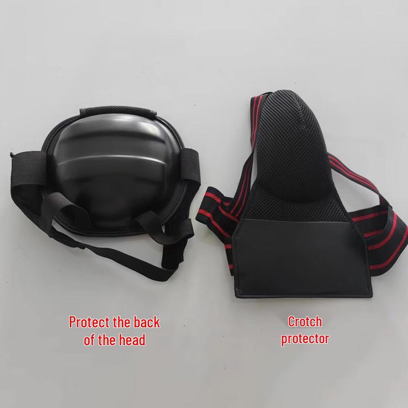 Martial Arts Head and Crotch Guard Set