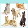 Realistic Labrador Retriever Doberman Pinscher And Husky Dog Model Figurines For Collectors