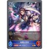 Shadowverse Evolve BP05-048 Servant of Destruction (BR Bronze Rare) 5th Edition Eternal Master