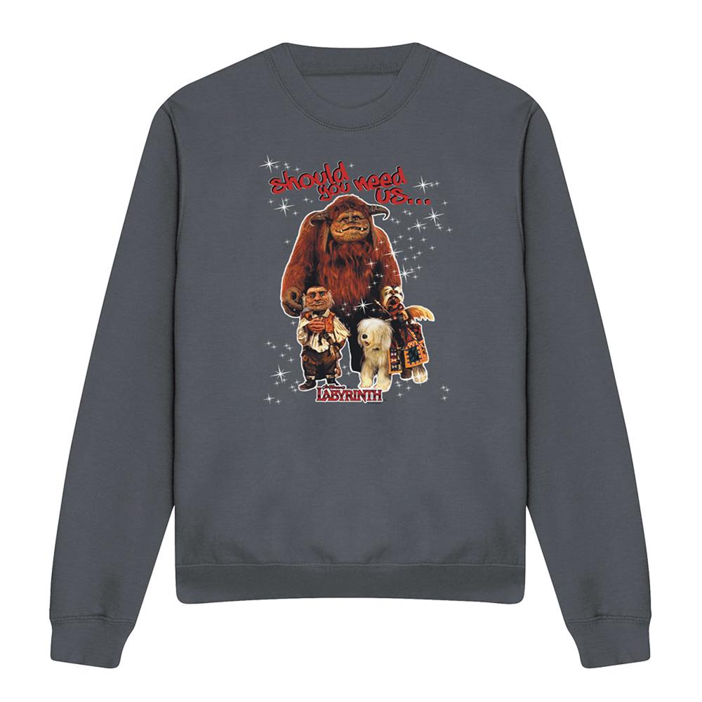 Labyrinth Unisex Adult Should You Need Us Sweatshirt