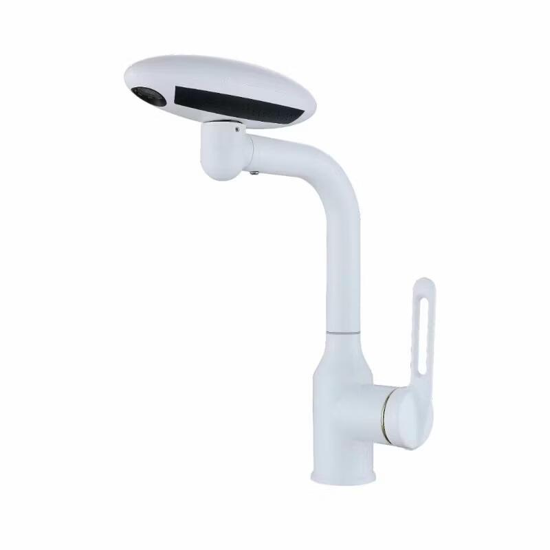 OEING Stainless Steel Wall-Mounted Basin Faucet