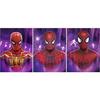 3D-animatie driedimensionale poster rasterverloop schilderij Spider-Man Iron Man poster naakt raster