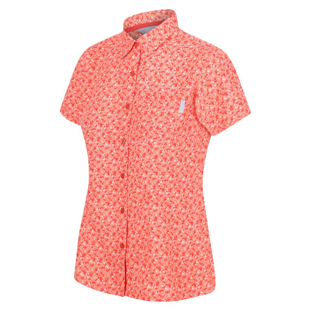 Regatta Womens/Ladies Mindano VI Ditsy Print Shirt