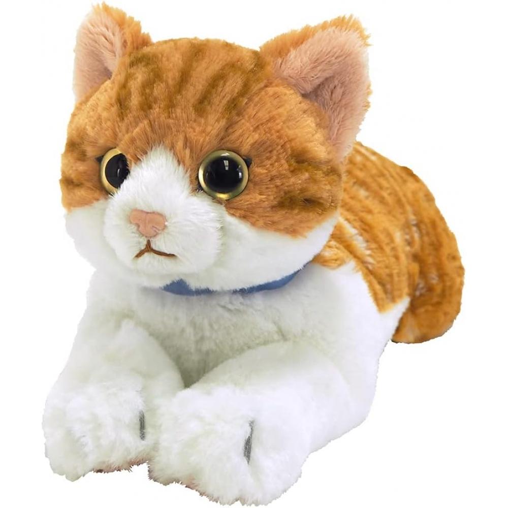 Sun Lemon Knee Cat ChaShiro S 13 X 36 X 15 Cm PluSh Animal Cute Cat Cat P 7822 Cat ChaShiro S