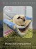 Warm Plush Hamster Hammock Small Pet Sleeping Bag Nest Pets Rat Squirrel Hanging Cage House Pet Accessories Supplies