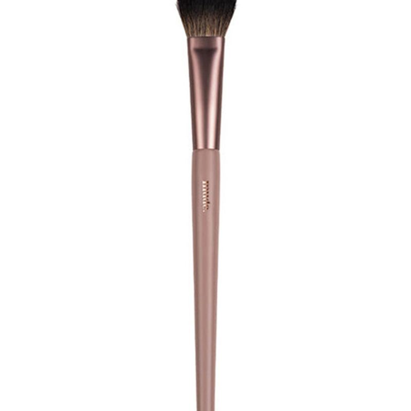 

blusher brush