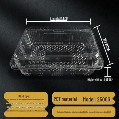 Disposable Transparent Food Container with Lid
