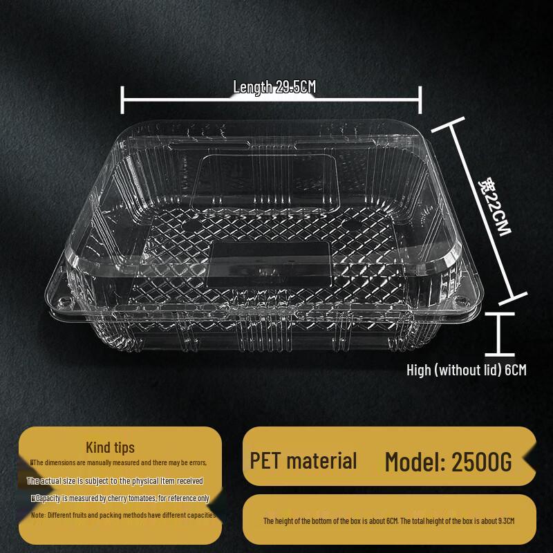Disposable Transparent Food Container with Lid