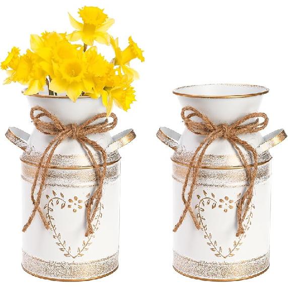 

Hacaroa Набор из 2 металлических молочных бидонов, деревенская гальванизированная ваза, 7,5 дюймов, потертый шик, кувшин с ручкой, примитивная декоративная ваза для цветов, мини-кувшин для 19 x 10 cm