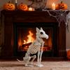 Halloween Skeleton Animal Decoration,/Dog/Bird/Rat/ -N-Stay Animal Skeletons,Plastic Bones Indoor Outdoor Decor Party Favors Graveyard Decorations