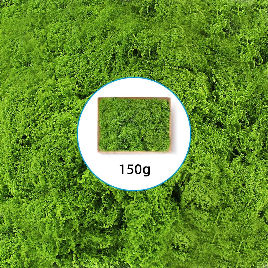Artificial Moss for Crafts - 5.3oz Fake Moss for Potted Plants Indoor, Fairy Garden Decor, Model Making, Walls, Glass Containers | Realistic Faux