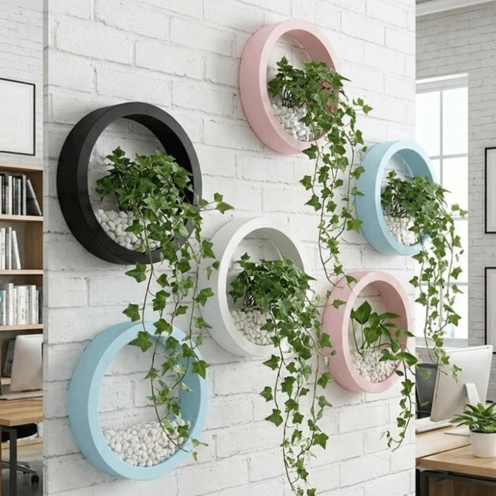 Plastic Hydroponic Vase Round Plant Container Creative Flower Arrangement Office Display