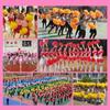 9 Colors Game Pompoms 25cm Flower Ball New Vocal Concert Decorator  Sports Cheerleading