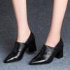 Pointed Toe Women Shoes High Heels Designer Pumps Sexy Fashion 2024 Women Autumn Shoes New Brand Dress Party Ladies Chaussures