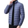 Herren Daunenjacke Slim: Kurz, Stehkragen, mit Kapuze, für Herbst und Winter