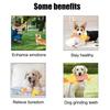 Fit for All Pets Dog Cat Fleece Toys Popular Squeak Chew Sound Dolls Elephant Duck Pig Pet Funny Plush Toys