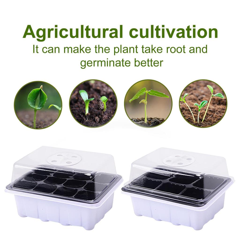 Indoor Propagation Box Greenhouse Propagation Set Tray With Lid And Ventilation