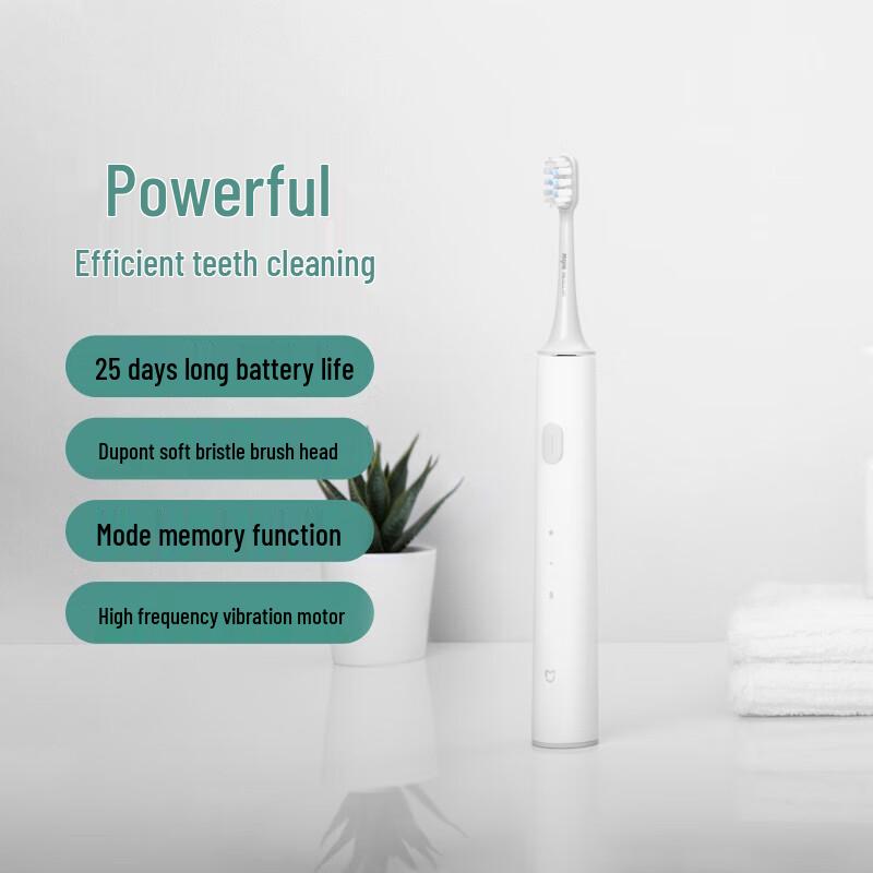 Xiaomi T300 Sonic Electric Toothbrush