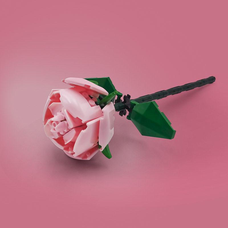 

“Romantic Qixi 520 Rose Wall Decor for Coffee Shop & Restaurant Check-in”
