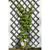 Treillis extensible - NATURE - Bois - 150 x 50 cm - Anthracite - Avec set de fixation