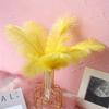 Color 20-25Cm Ostrich Hair Vase Ornament Wall Feather Decoration Hand Bouquet Flower Arrangement Diy Material