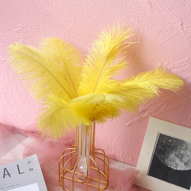 Color 20-25Cm Ostrich Hair Vase Ornament Wall Feather Decoration Hand Bouquet Flower Arrangement Diy Material