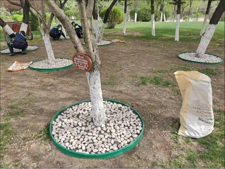 Polished White Natural Pebble Stones for Hydroponics, Fish Tanks, Landscaping, and Balcony Decor