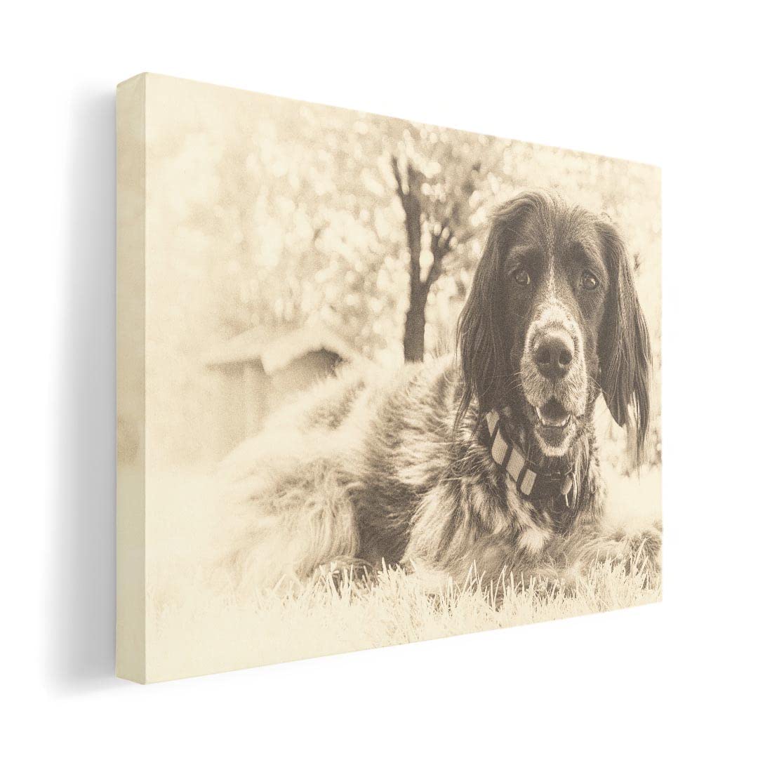 

Art 420mm x Wall Wooden Stylish Interior Animal Panel, Painting, Decoration, igsticker, 297mm, A3, Photo, Hanging, Frame, Decor, 023215, Dog, Sepia,
