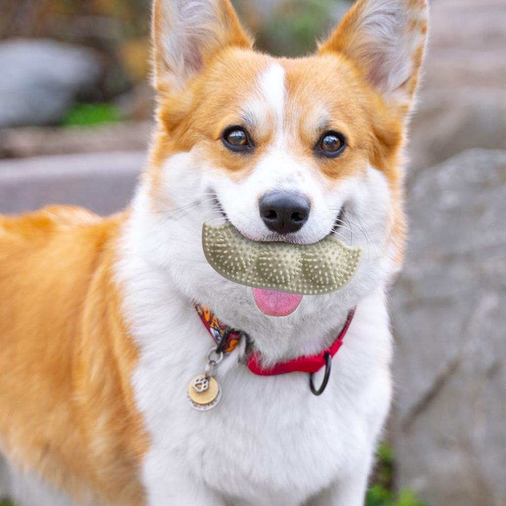 Dog Chew Toys For Aggressive Chewers, TPR -Shaped Chew Toys, Interactive Teeth Cleaning Toys For Dogs