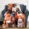 Cute Cats Print Flannel Blanket High Quality Warm Comfortable Cover for All Seasons Perfect for Gifts Home Decor