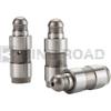24Pcs Exhaust/Intake Hydraulic Valve Lifters 11337548690 Compatible with BMW 125i 325i 328i 335i 525i 528i 530i 640i 730i X3 X5 Z4