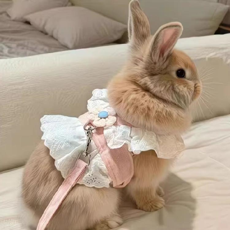 Rabbit Walking Harness With Rope Reinforced Stitching Chew Resistant Polyester Vest For Small Animal Safe And Secure