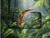 Smart Outdoor Solar Bird Feeder with Camera for Hummingbirds