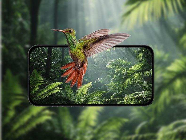 Smart Outdoor Solar Bird Feeder with Camera for Hummingbirds