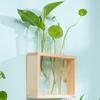 Small Fresh Hydroponic Green Vase Wooden Frame Vase Decorative Ornament Wall Mounted